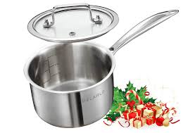 Stainless Steel Saucepan